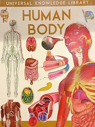 Human Body Book book cover