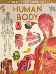 Human Body Book book cover