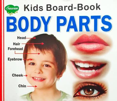 Kids Board-Book Body Parts by Manoj Publications book cover